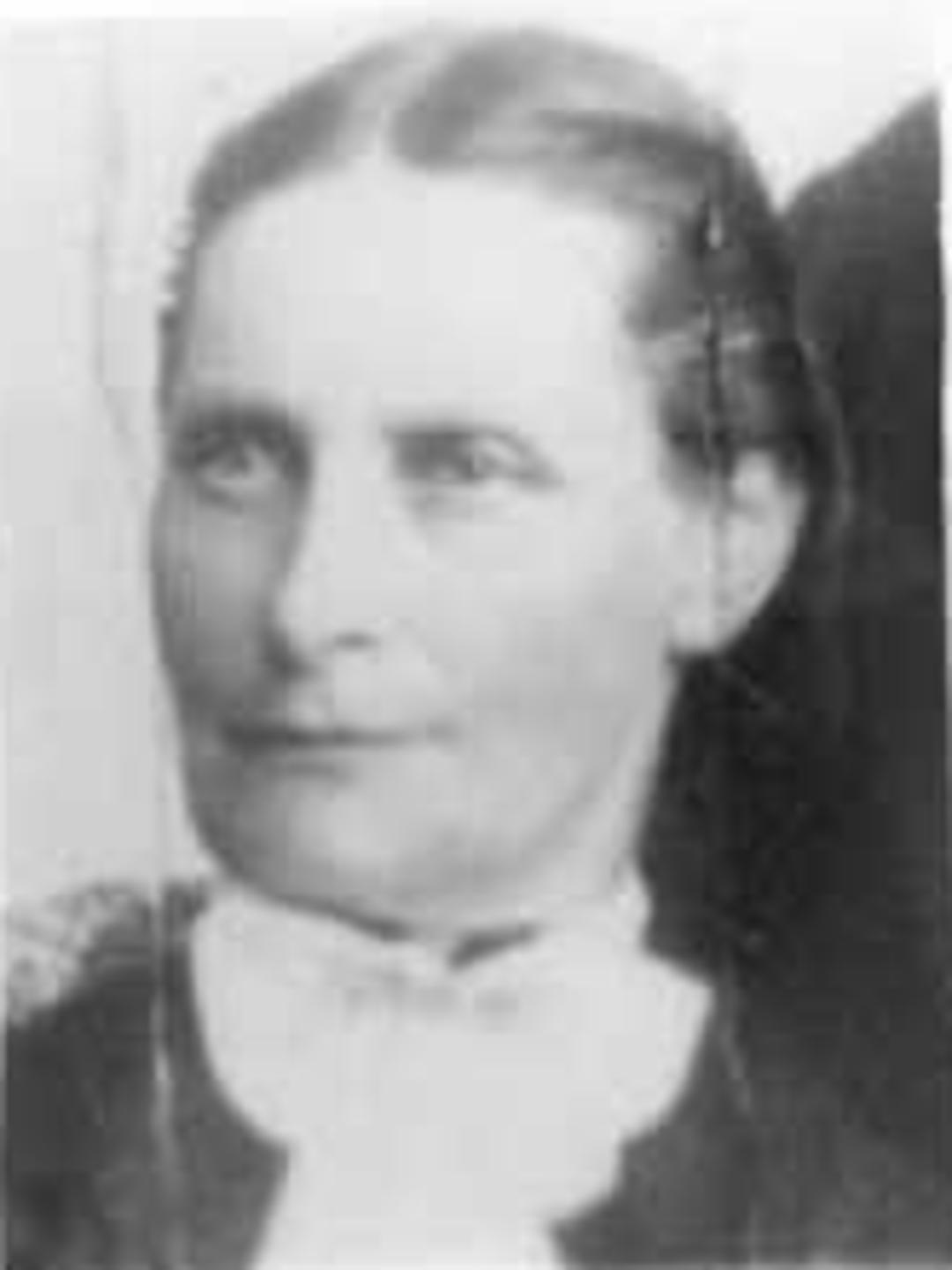 Mary Lockwood (1841 - 1920) Profile